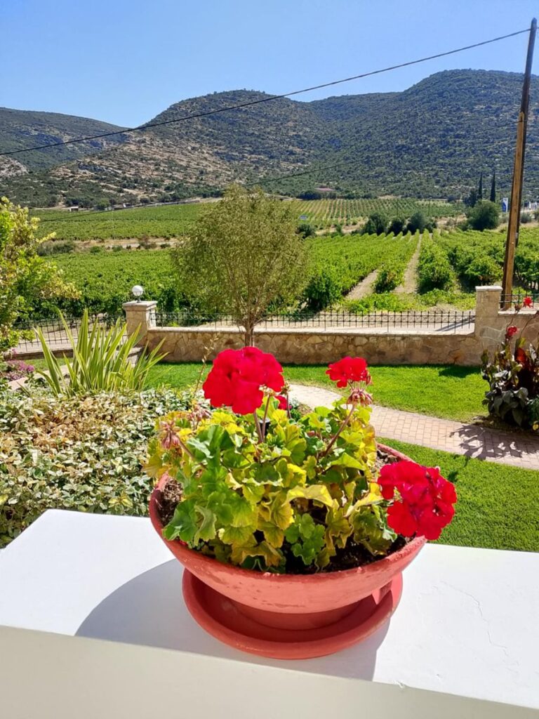 fo1c1BoE_Untitled (2).jpg